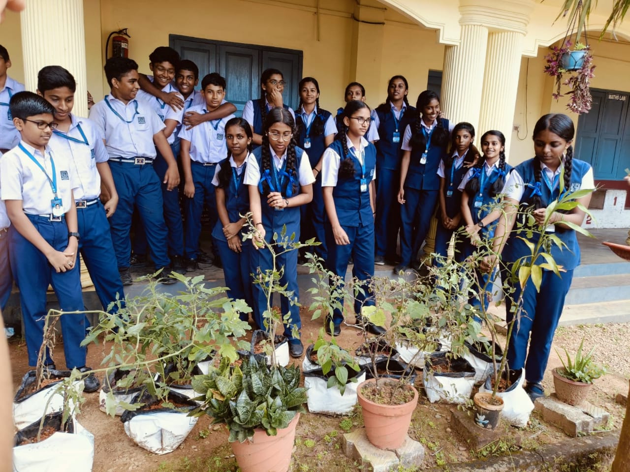 Seed Cultivation